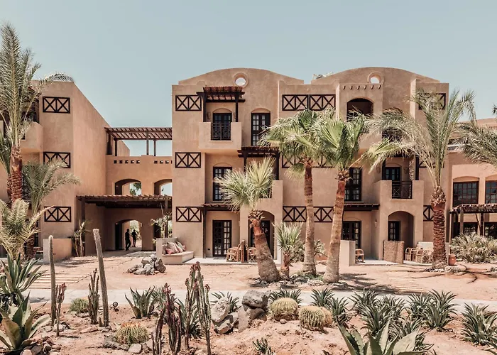 Cook'S Club El Gouna (Adults Only)